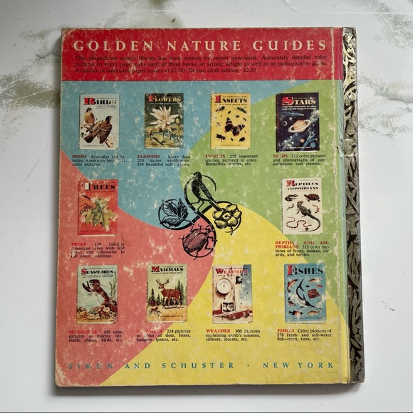 A Little Golden Book - Walt Disney's Scamp - Picture 8 of 9